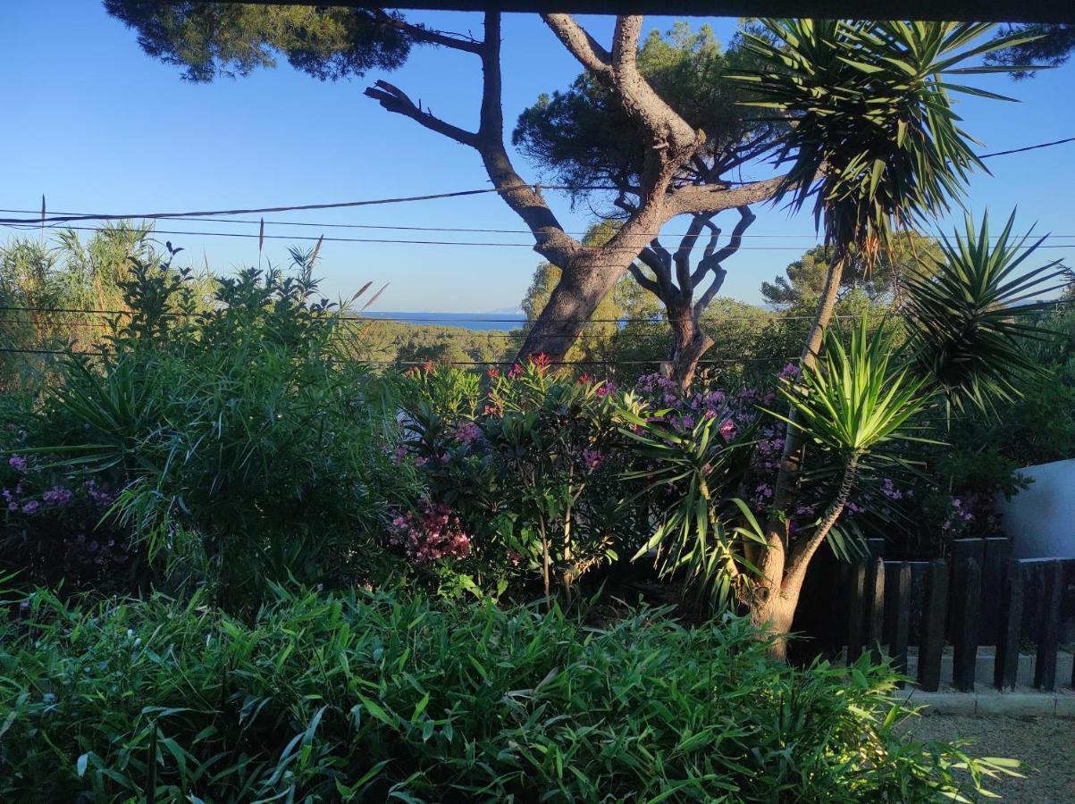 Studio Villa Le M Six-Fours-les-Plages Exterior photo